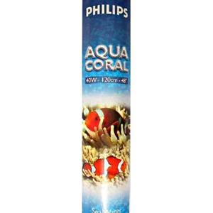 Aqua Coral Lamps