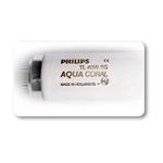 TL 40w RS Aqua Coral Lamp by Philips®