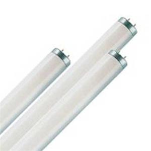 Actinic Lamps 