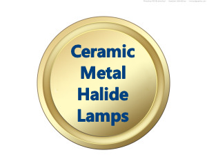 Ceramic Metal Halide Lamps