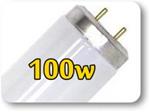100 Watt Reflector Low Pressure Tanning Lamps